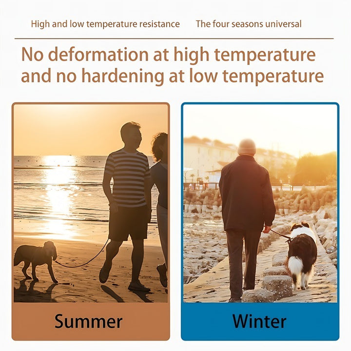 Pet Silicone Collar Walking Set