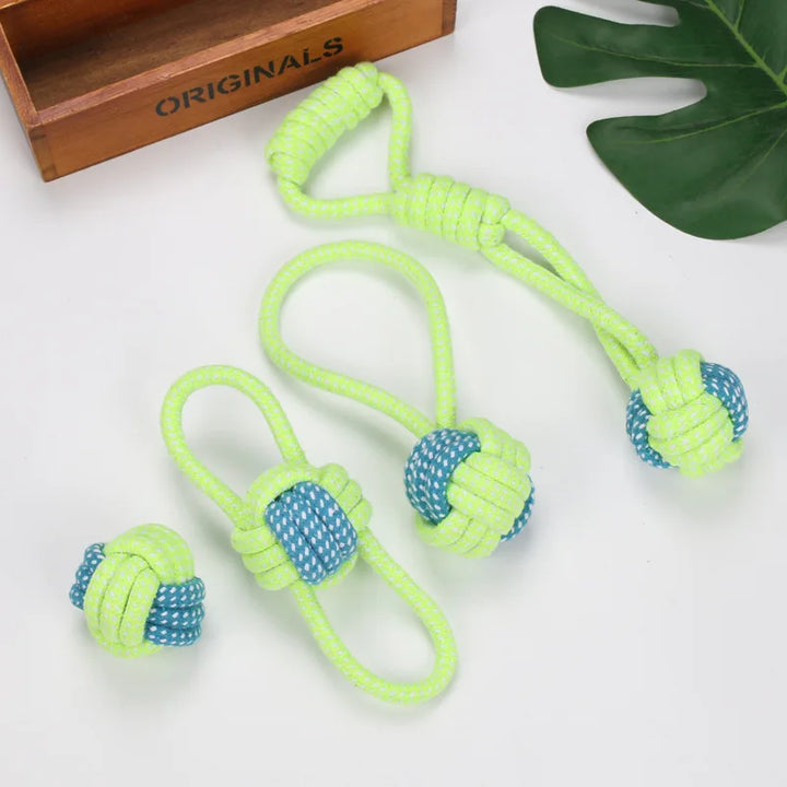 Pet Toothbrush Chew Toy