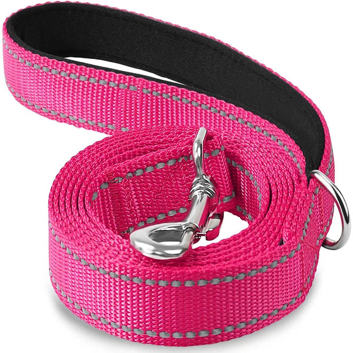 Pet Walking Collar and Lead Strap
