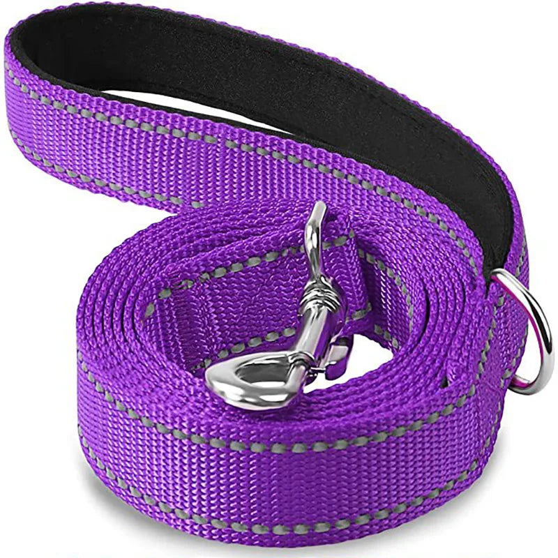 Pet Walking Collar with Reflective Strap
