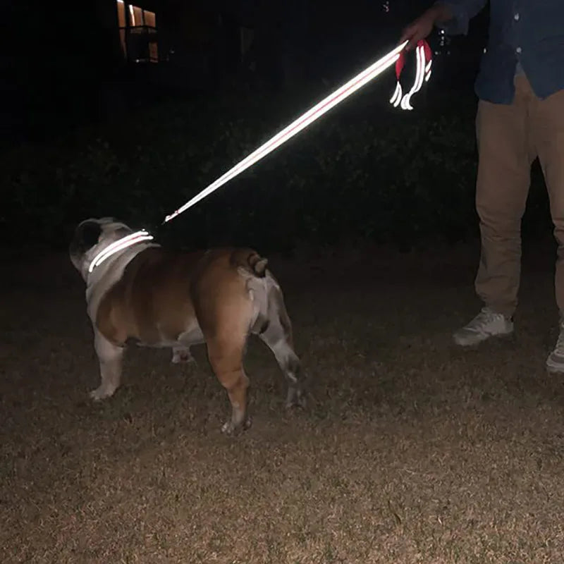 Pet Walking Harness with Night Reflection
