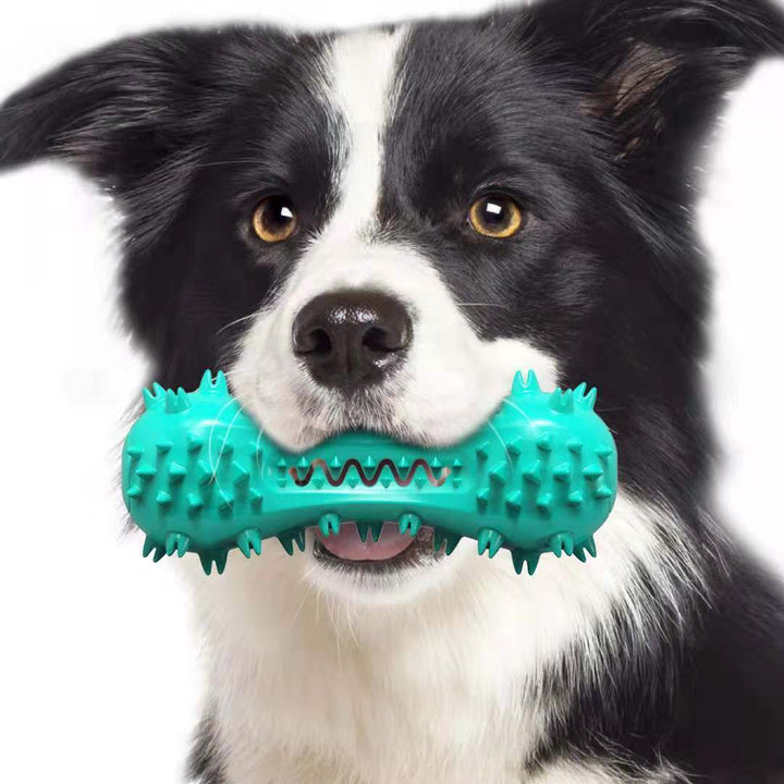 Pet chew toy for dental care