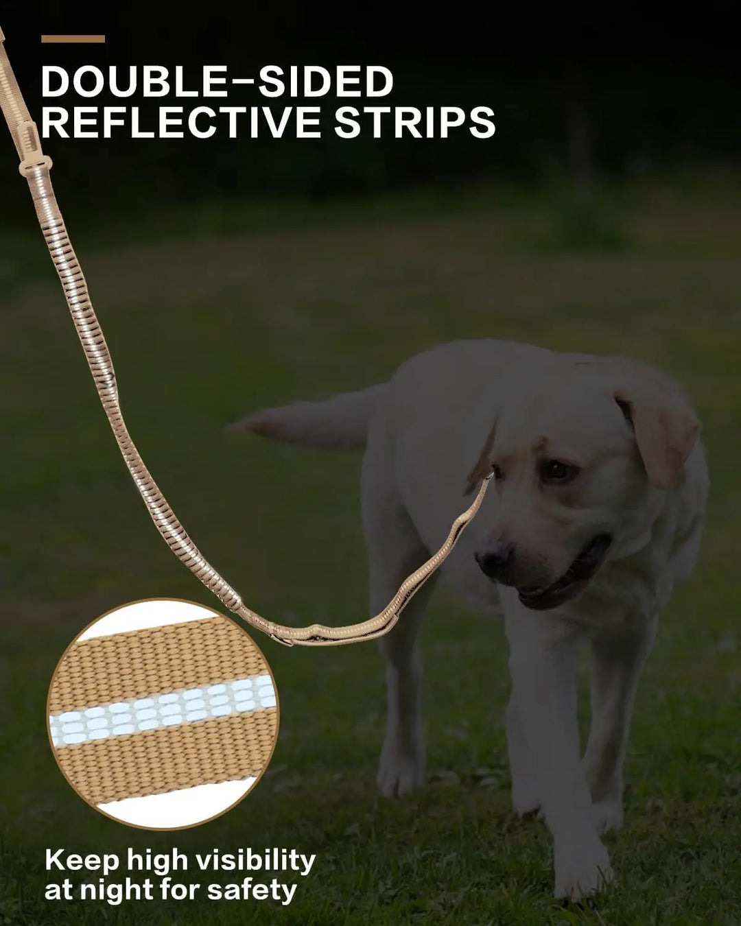 Pet leash with car seatbelt buckle