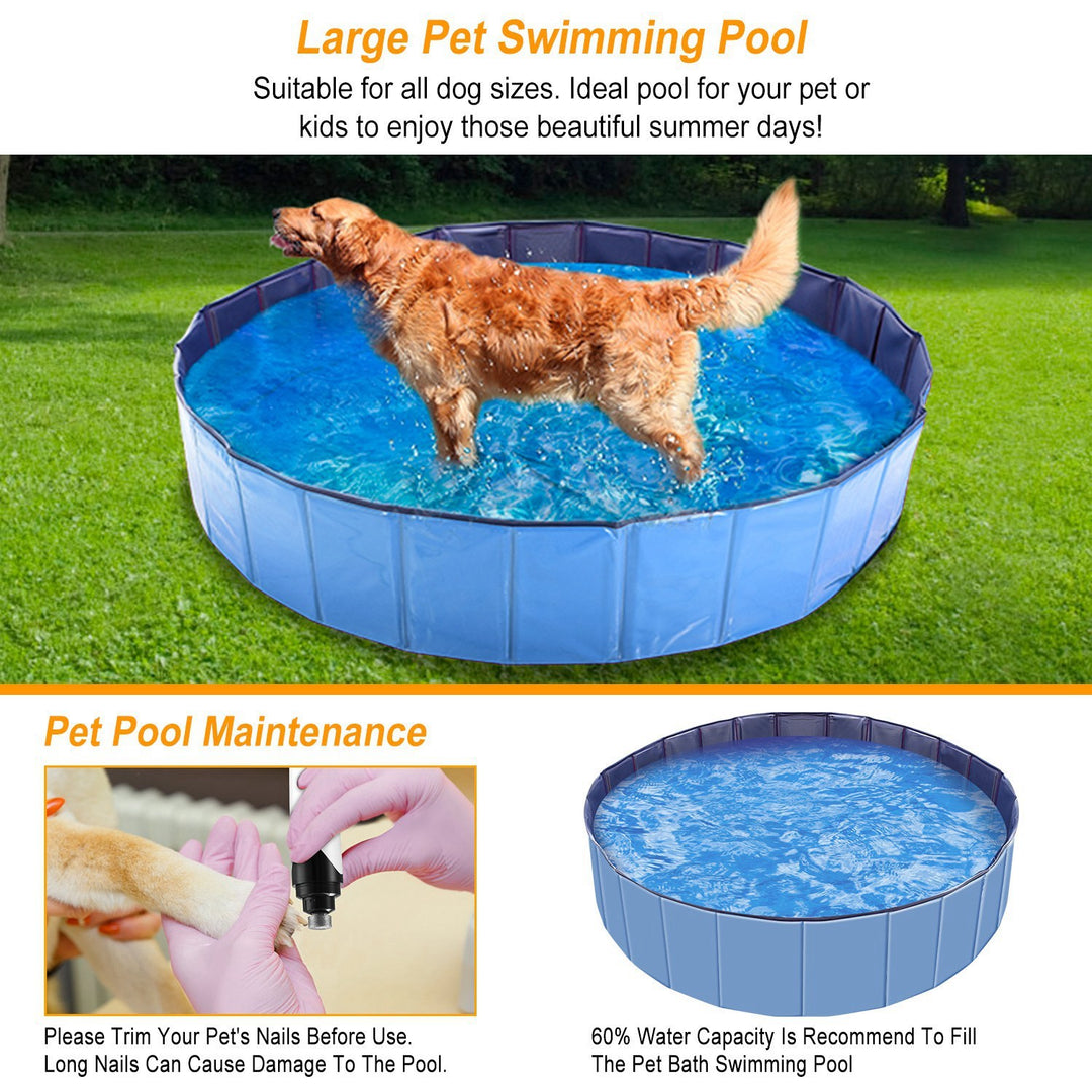 Pet pool for small medium dogs