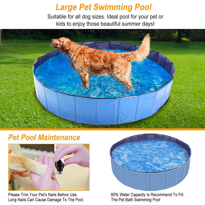 Pet pool for small medium dogs