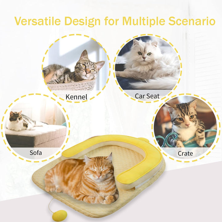 Pet product with images of cats in various scenarios