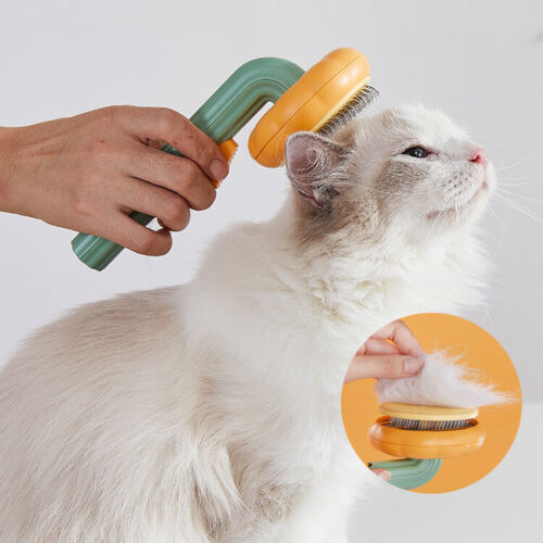 Pet pumpkin brush self cleaning design