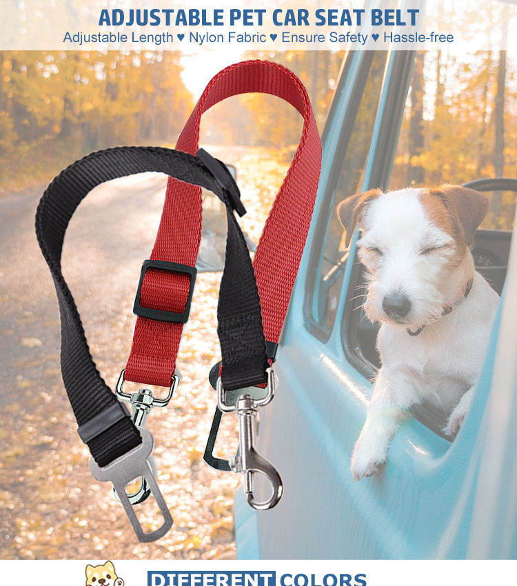 Pet safety belt for vehicles