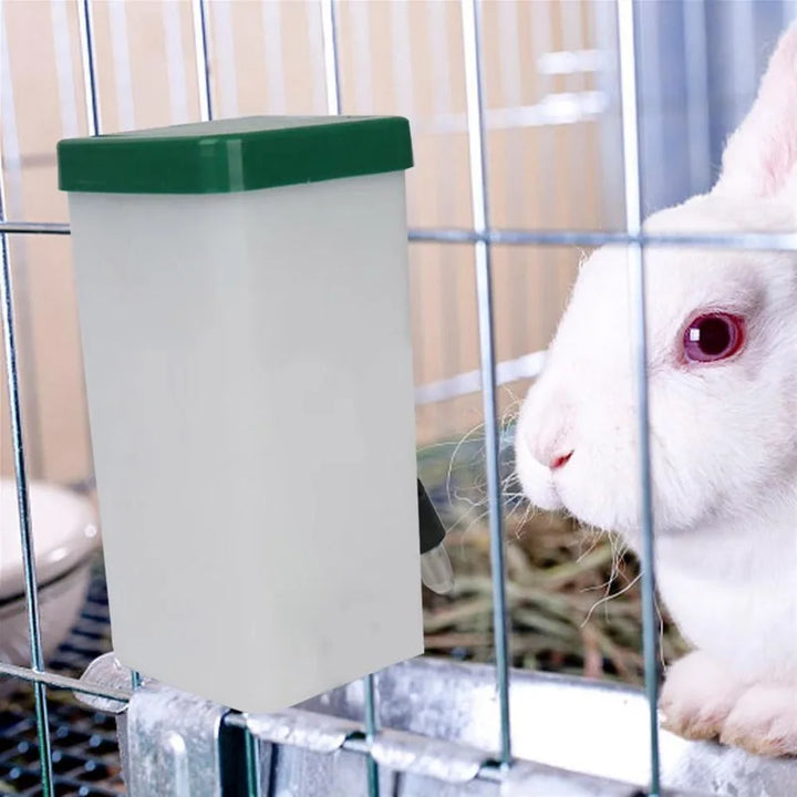 Pet water feeder for small animals.