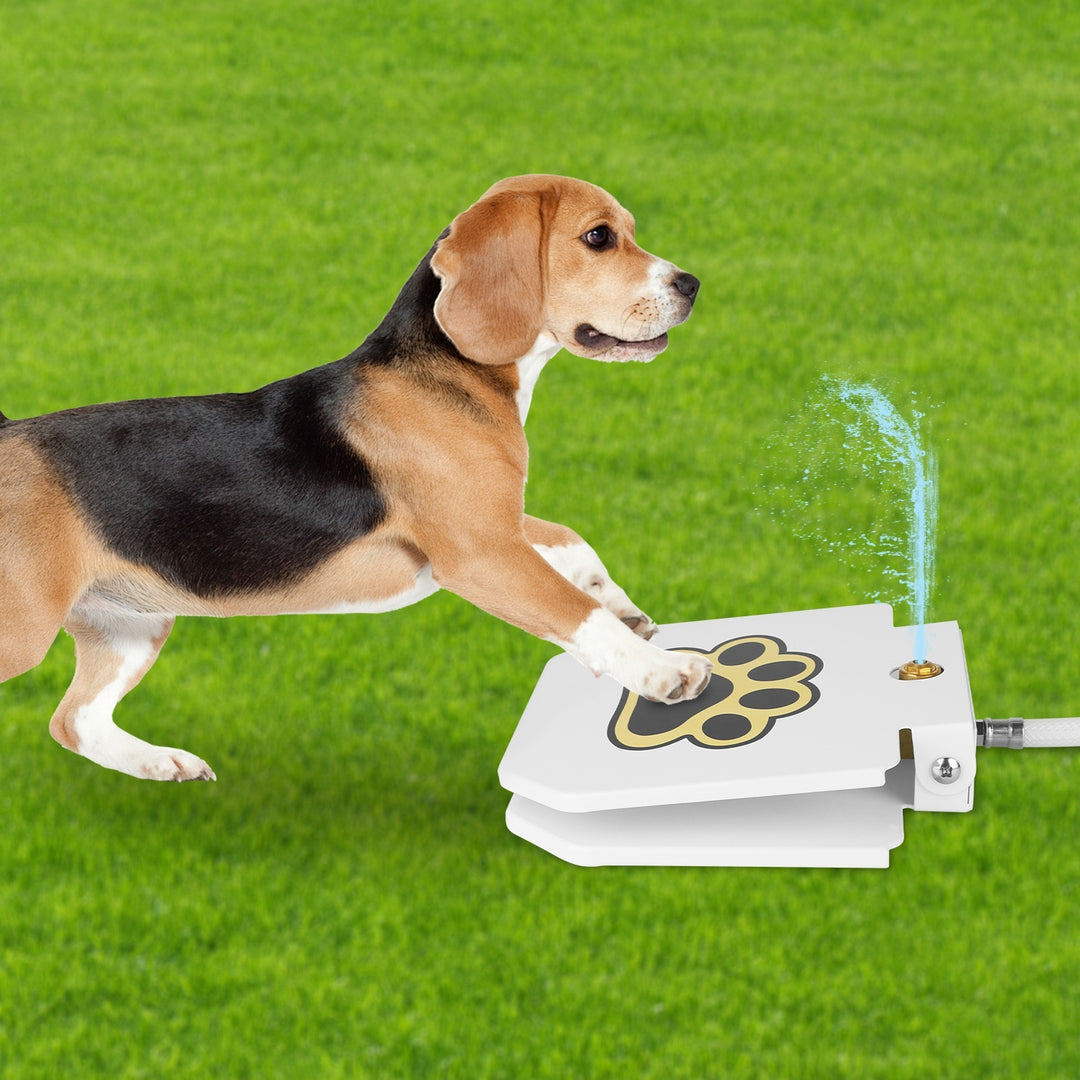Pet water fountain with metal paw pedal valve