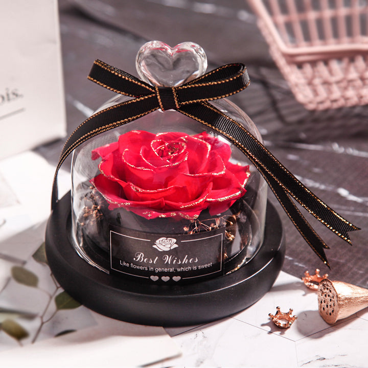 Phnom Penh Red Rose