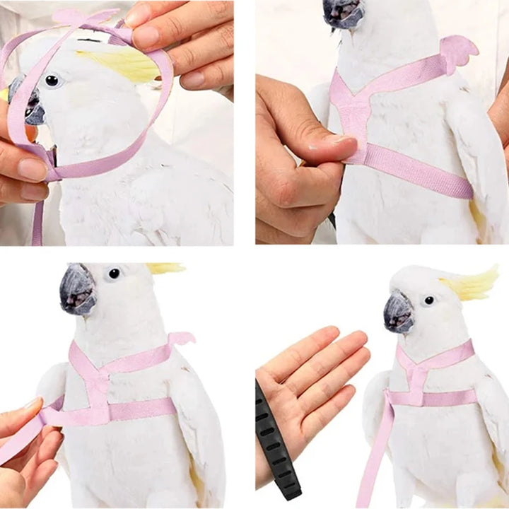 Pink Colour of Parrot Leash Flight Suit