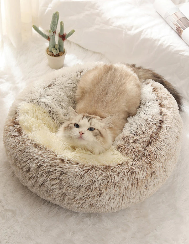 Plush Covered Bed for Cats