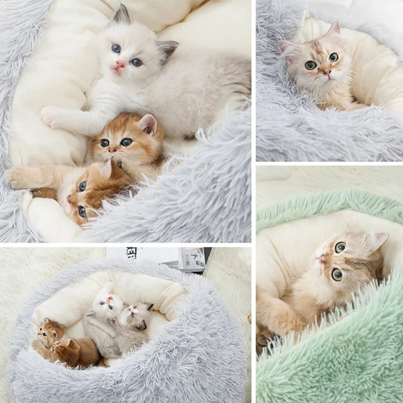 Plush Pet Cat Bed with Cushion
