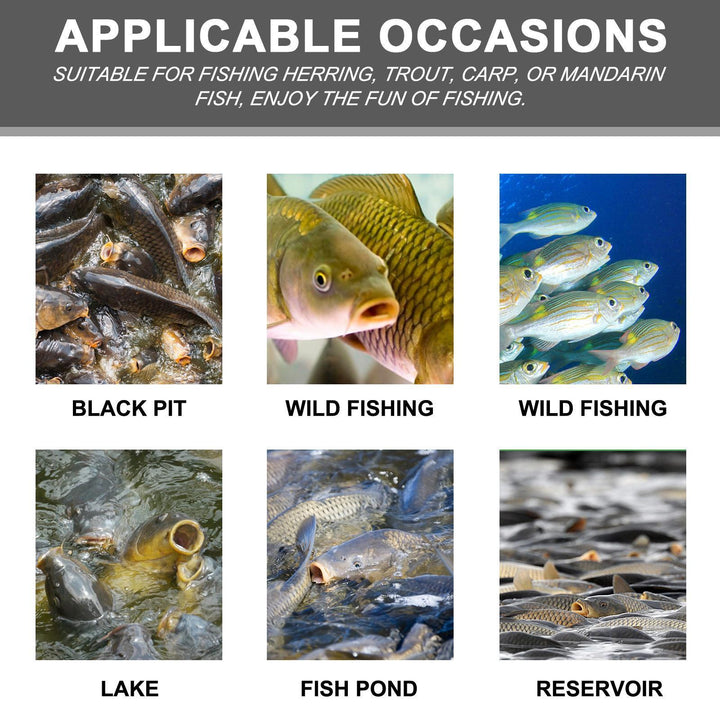 Portable fish bait for outdoor fishing