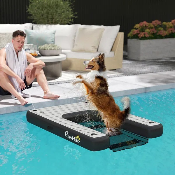 Portable inflatable ramp for dogs
