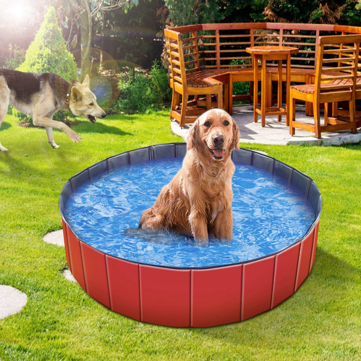 Portable swimming pool for dogs and cats