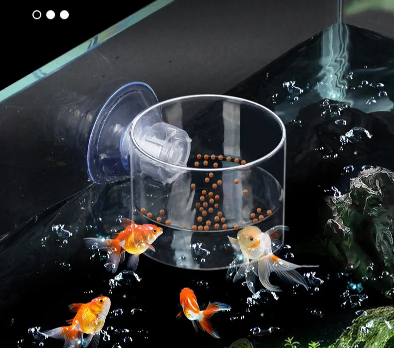 Practical aquarium food feeder accessory