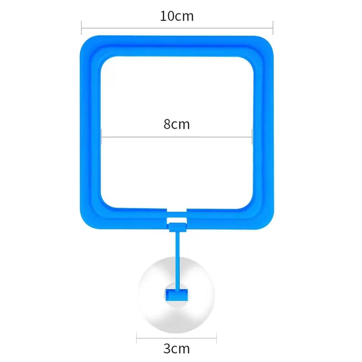 Practical feeding ring for fish tanks