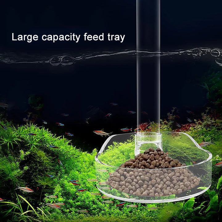 Precise fish tank food dispenser tool