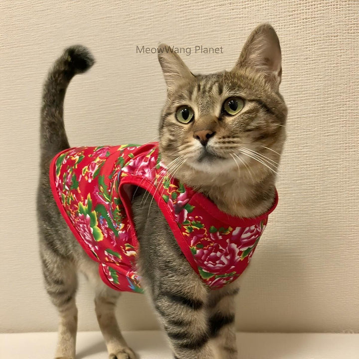 Premium lightweight summer pet vest