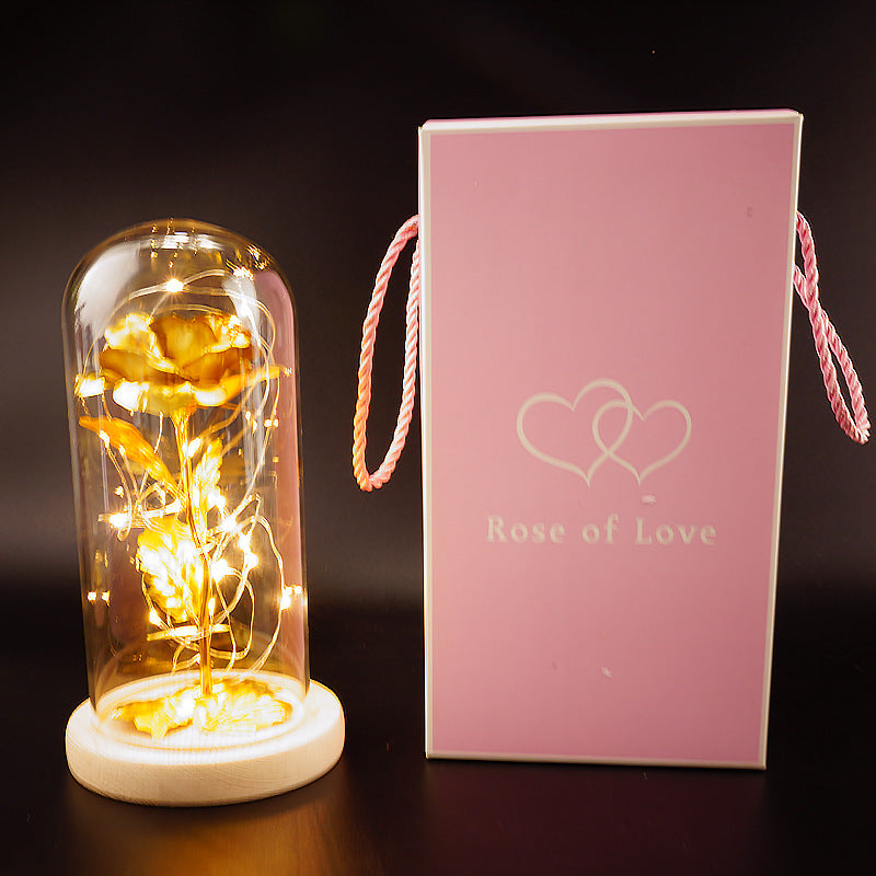 Preserved Flower Home Ornament