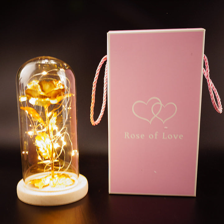 Preserved Flower Home Ornament