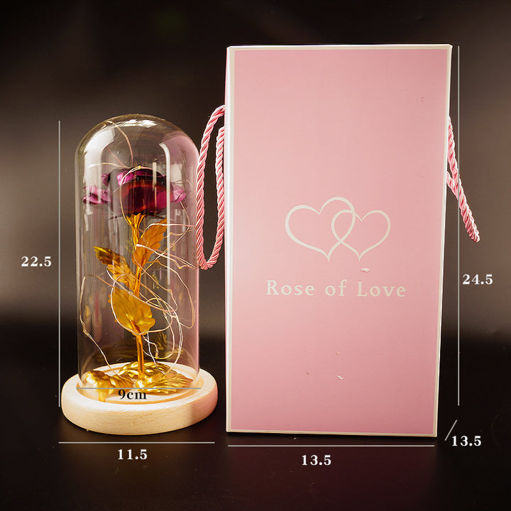 Preserved Rose Glass Display