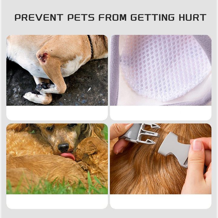 Product advertisement showing a dog 