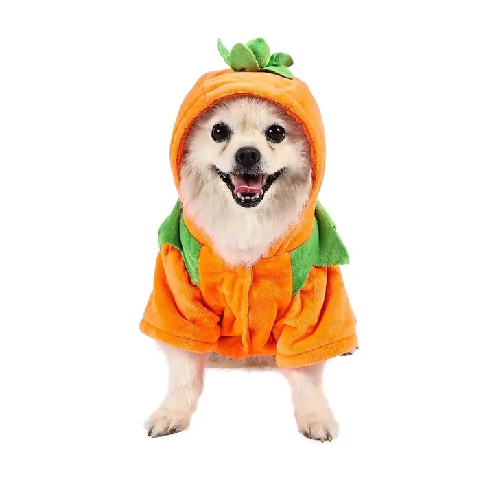 Pumpkin style dog hoodie outfit