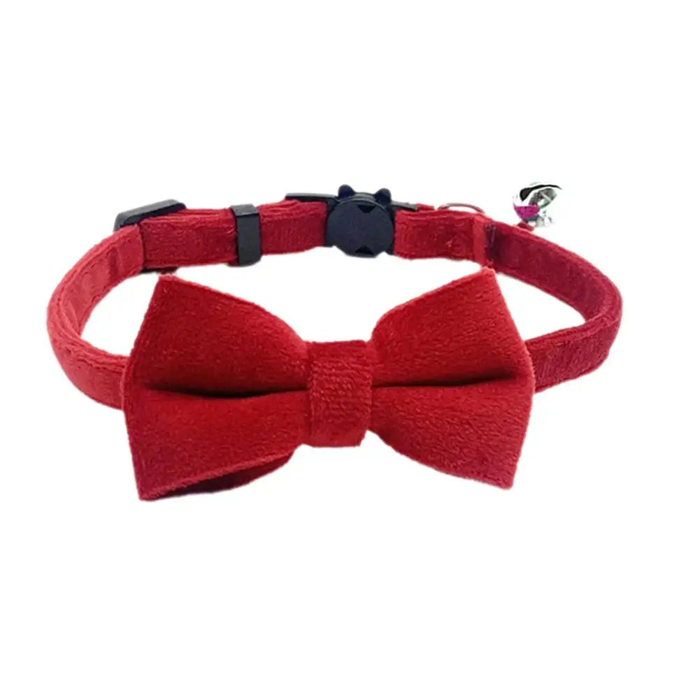 Puppy Collar with Safety Bell and Bow
