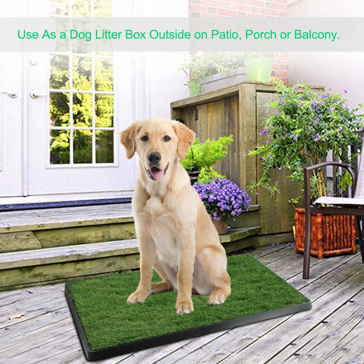 Puppy loo tray indoor outdoor