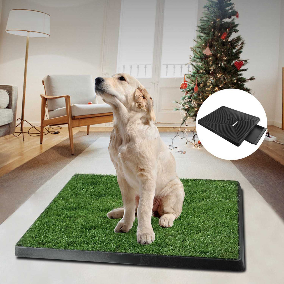Puppy training grass toilet pad