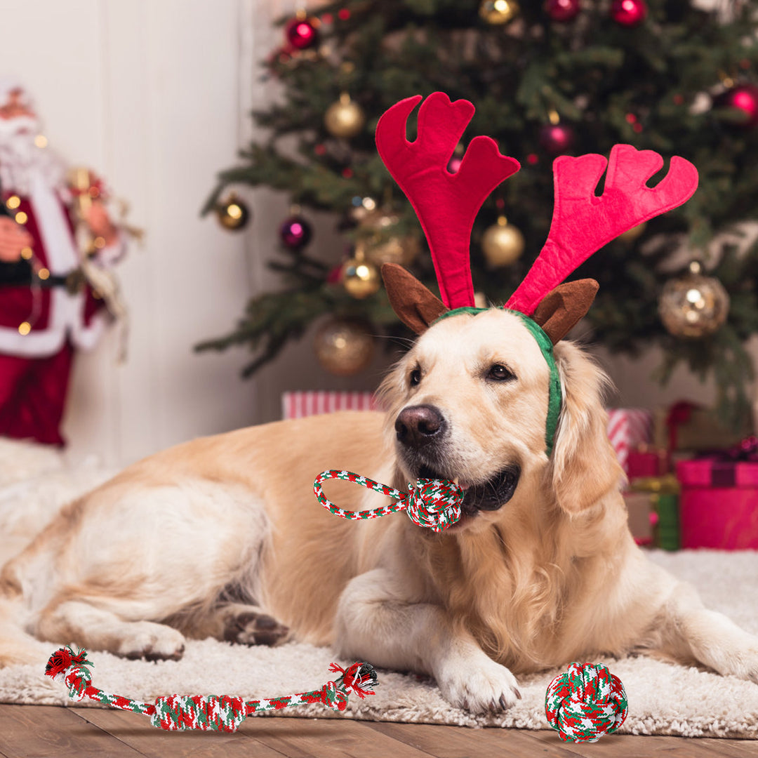 Puppy training rope toy bundle