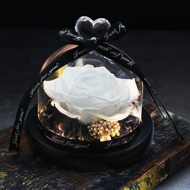 Pure White Rose