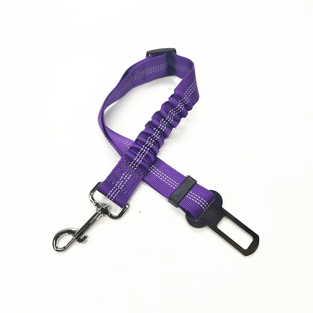 Purple Belt For Dogs 