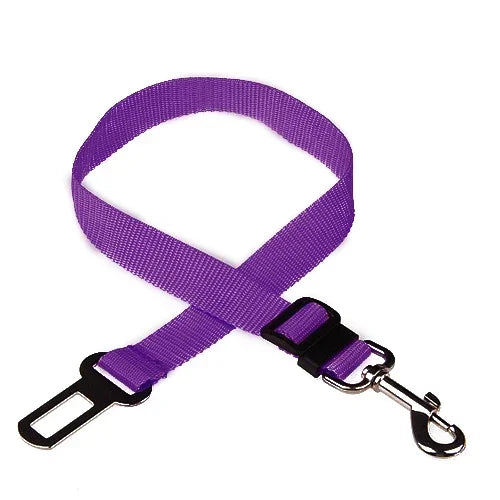 Purple Belt For Dogs And Cats