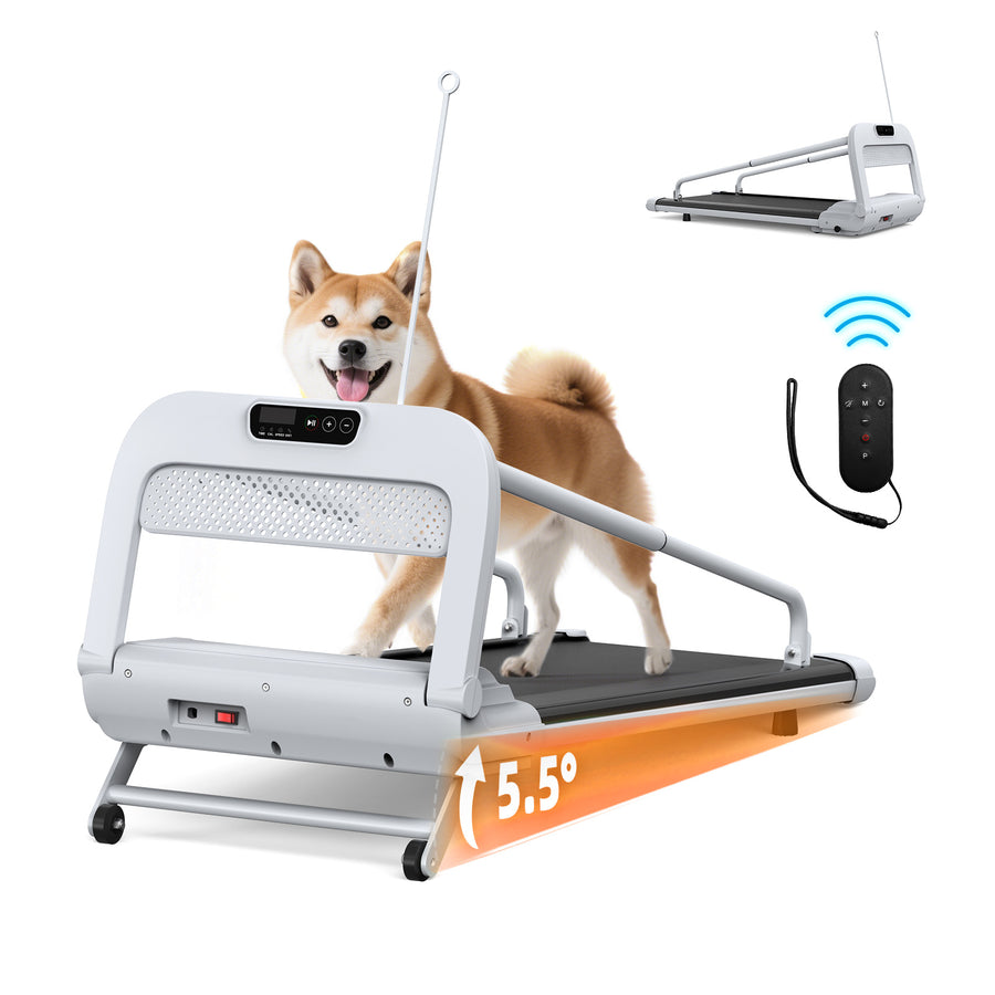 Quiet smart pet treadmill for small and medium dogs by KLD The Shop