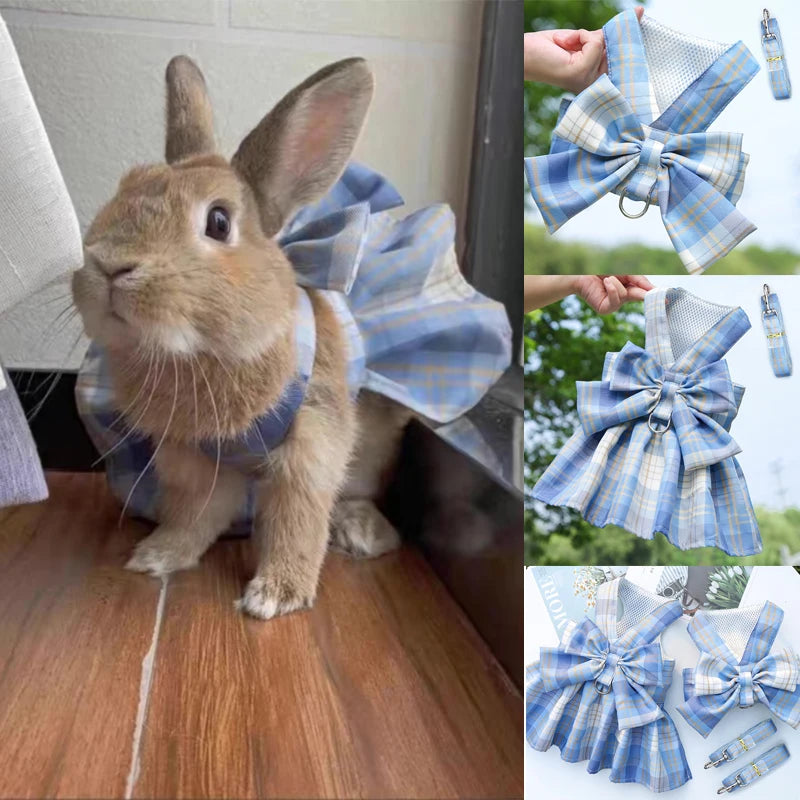 Rabbit JK Dresses collection