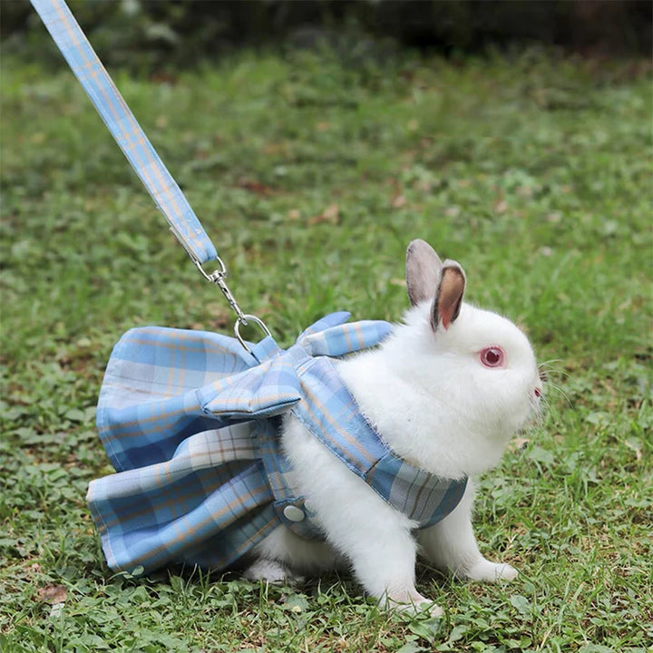 Rabbit JK pet accessories