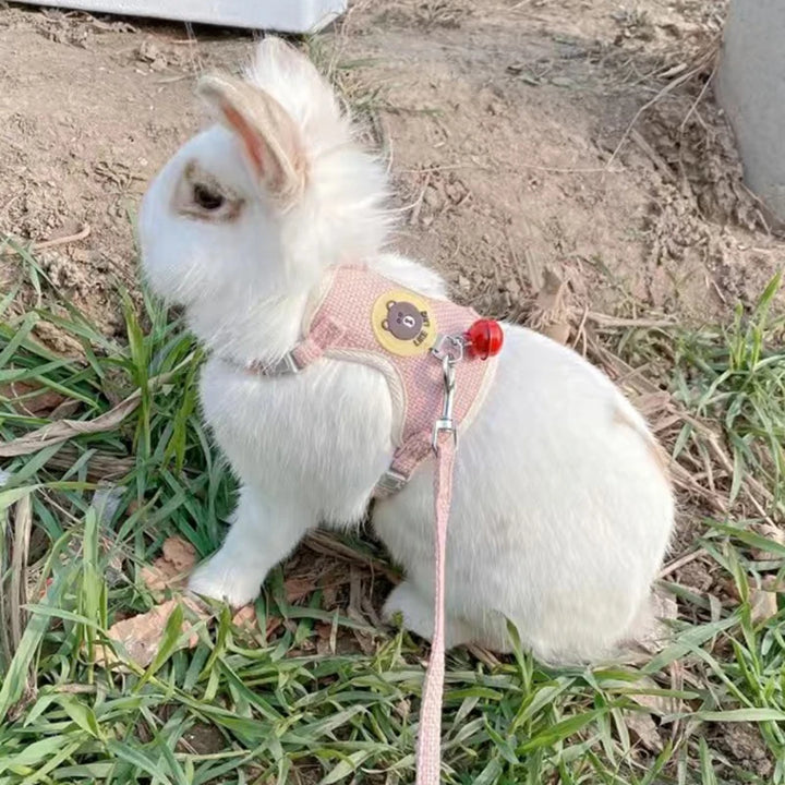 Rabbit Vest Harness for Adventure