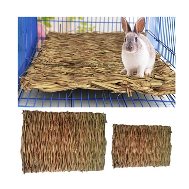 Rabbit natural pet supplies