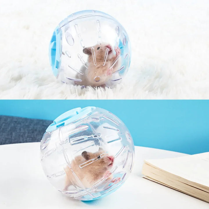 Rat Jogging Exercise Ball
