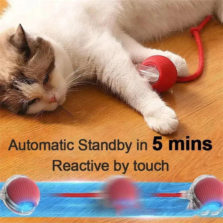 Rechargeable Automatic Rolling Cat Toy