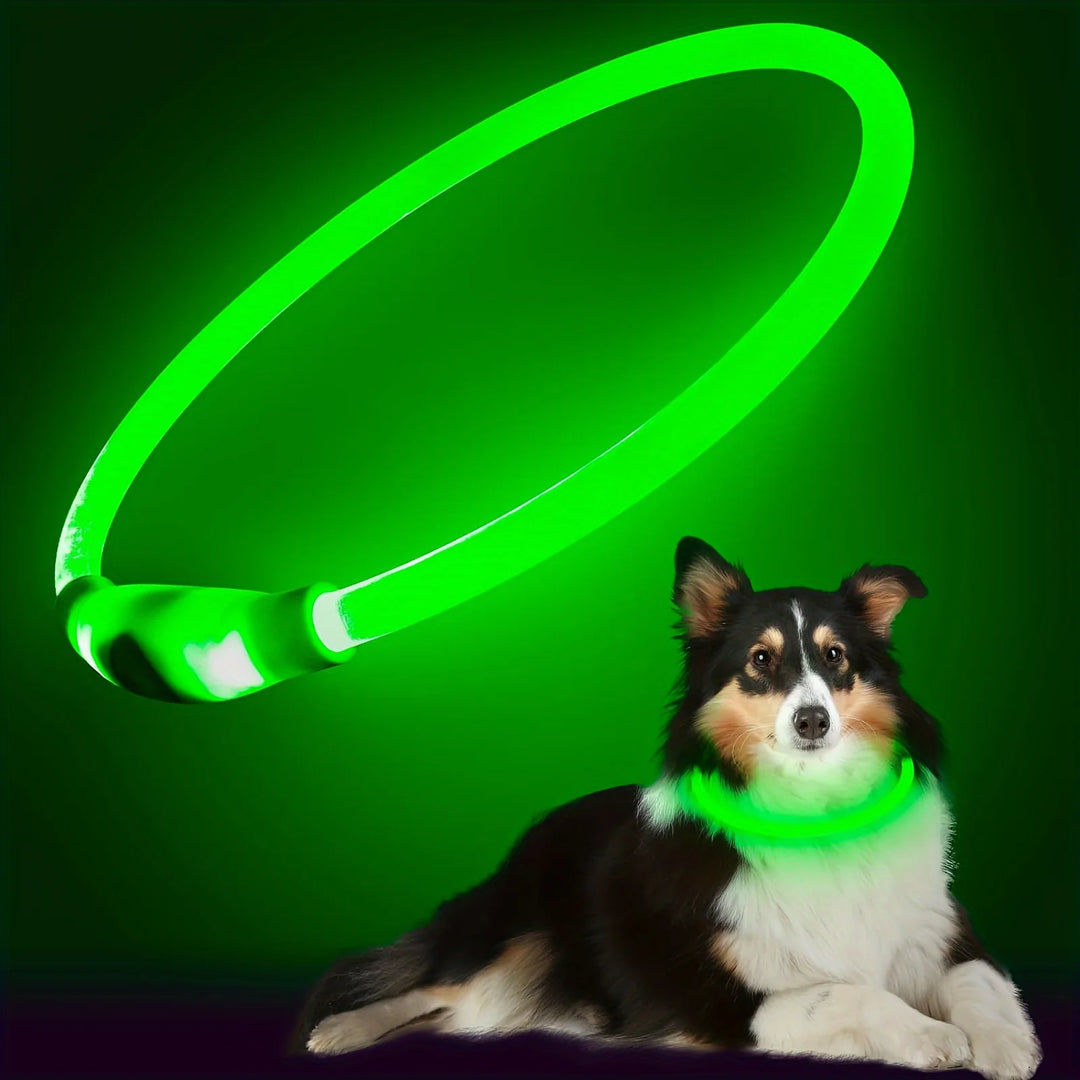 Rechargeable Light Collar for Dogs