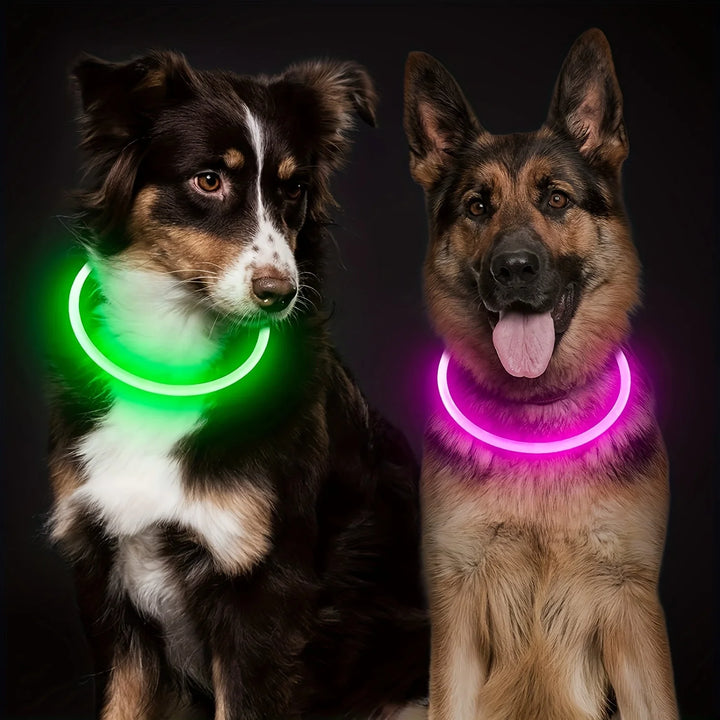 Rechargeable Night Light Collar for Dogs