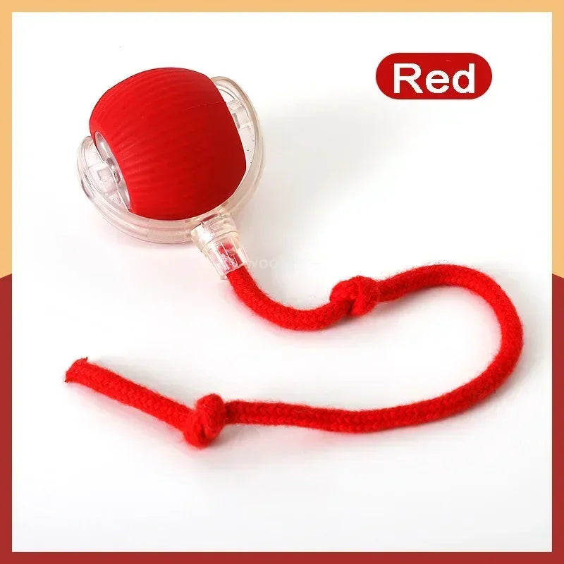 Rechargeable Pet Cat Ball Toy