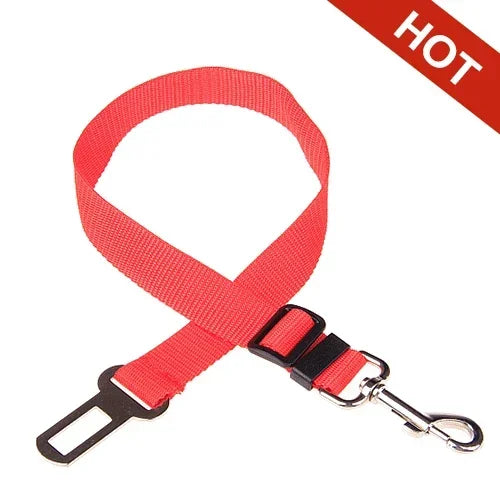 Red Belt For Dogs 