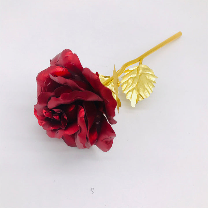 Red naked flower Rose Gift