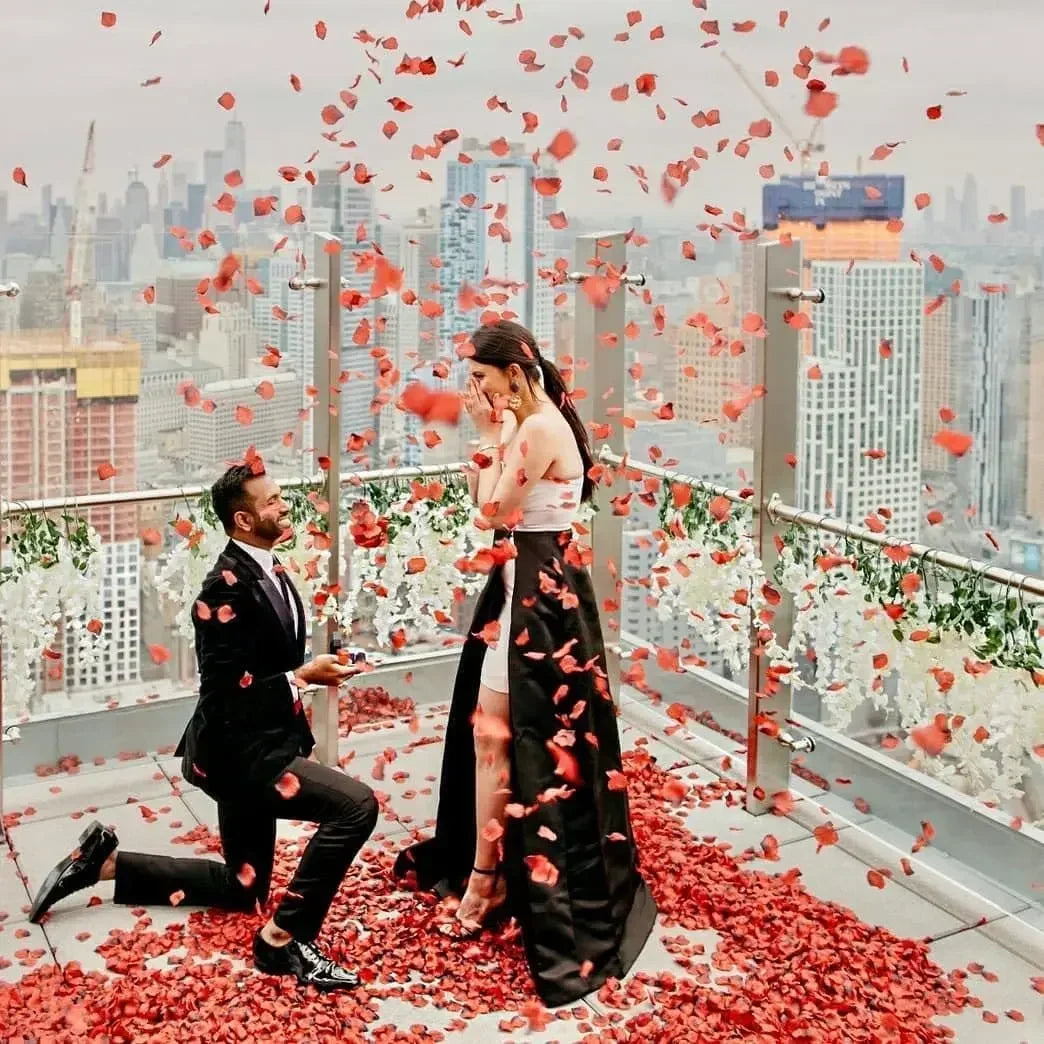 Red rose petals for romantic proposals